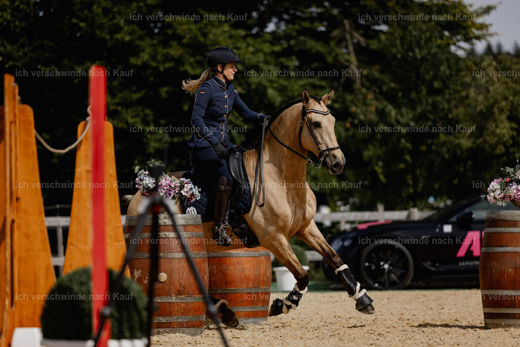 Diana11_FHC2025-20581 | working equitationturnier fotograf videograf stoibphotography marixx film working equitation deutschland reitsport turnierfotografie eventfotografie equestrian events