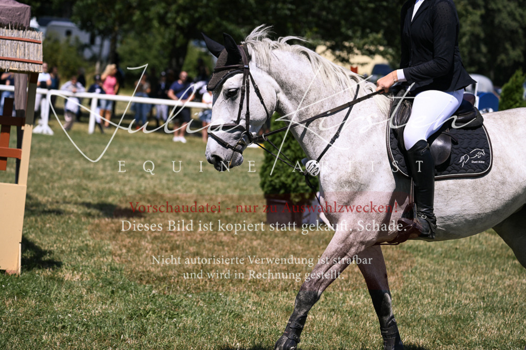 DSC_0083 | Pferde- und Turnierfotografie in Westsachsen. Pferdeportraits, Auftragszeichnungen und intuitive Kunst.