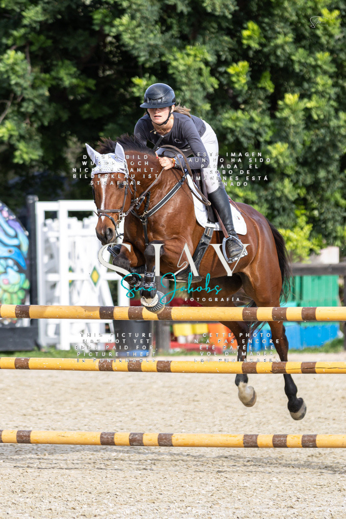 IMG_4199 | s-jay-photography - Realisiert mit Pictrs.com