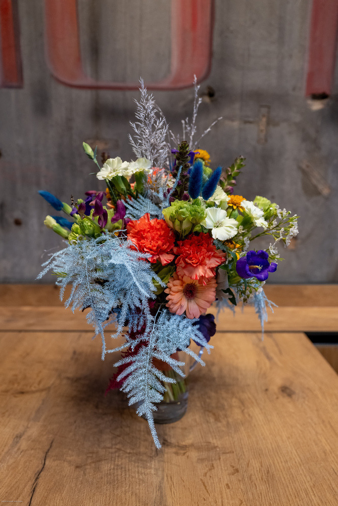 WWB_7721 | <Fotografie> <Video> <Film> <Winfried Bischoff> - Realisiert mit Pictrs.com