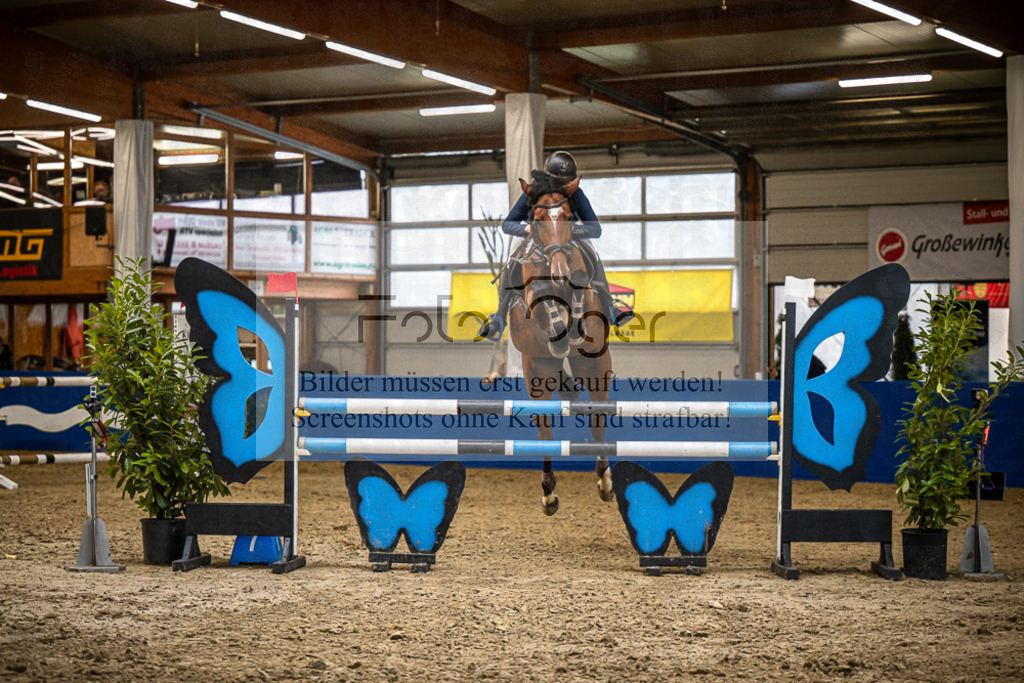 DOS_B1339 | Entdecke hochwertige Reitturnierfotos von Foto Oger. Professionell, emotional und authentisch – jetzt Lieblingsmomente im Shop bestellen.Deutschlandweite Turnierfotografie. - Realisiert mit Pictrs.com