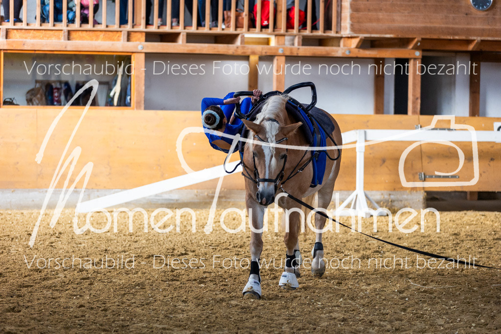 SS-Mini-070 | MomenTaufnahmen Pferdesportfotos