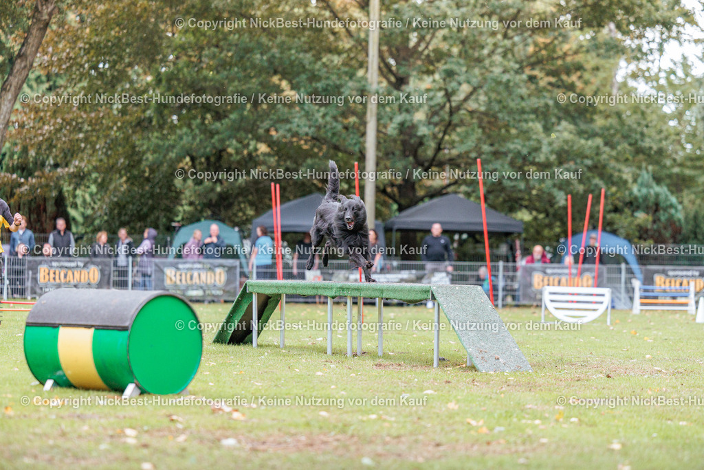 THS-HSV-Blumenthal-2026-Nickbest-Hundefotografie-4335 | Dein Hund! Dein Moment! Deine Erinnerungen! Hundefotografie in Bremen Blumenthal. Ich fange die besonderen Momente deines Vierbeiners ein – ob Indoor mit Blitzanlage oder in der freien Natur. Sicher dir dein Moment und dein Termin für eure Erinnerungen.