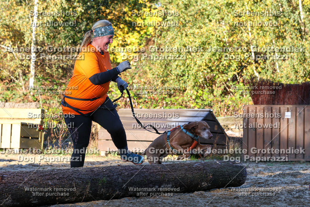 Dog Paparazzi - Strongdog 10-25-798 | Dog Paparazzi Jeanette Grottendiek Fotografie & Videografie - Realisiert mit Pictrs.com