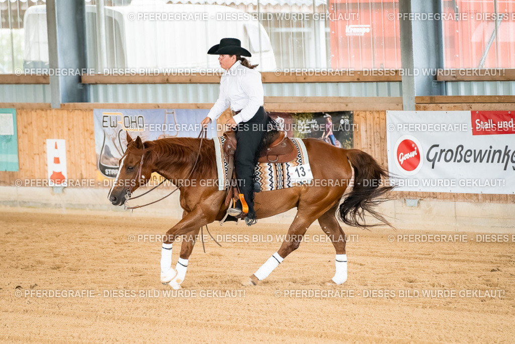 DSC02416 | Pferdegrafie