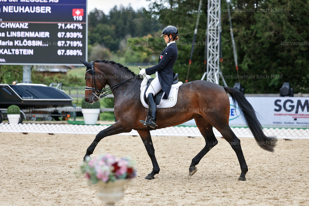 11-110-Dressur S___-StoibPH-1357 | working equitationturnier fotograf videograf stoibphotography marixx film working equitation deutschland reitsport turnierfotografie eventfotografie equestrian events