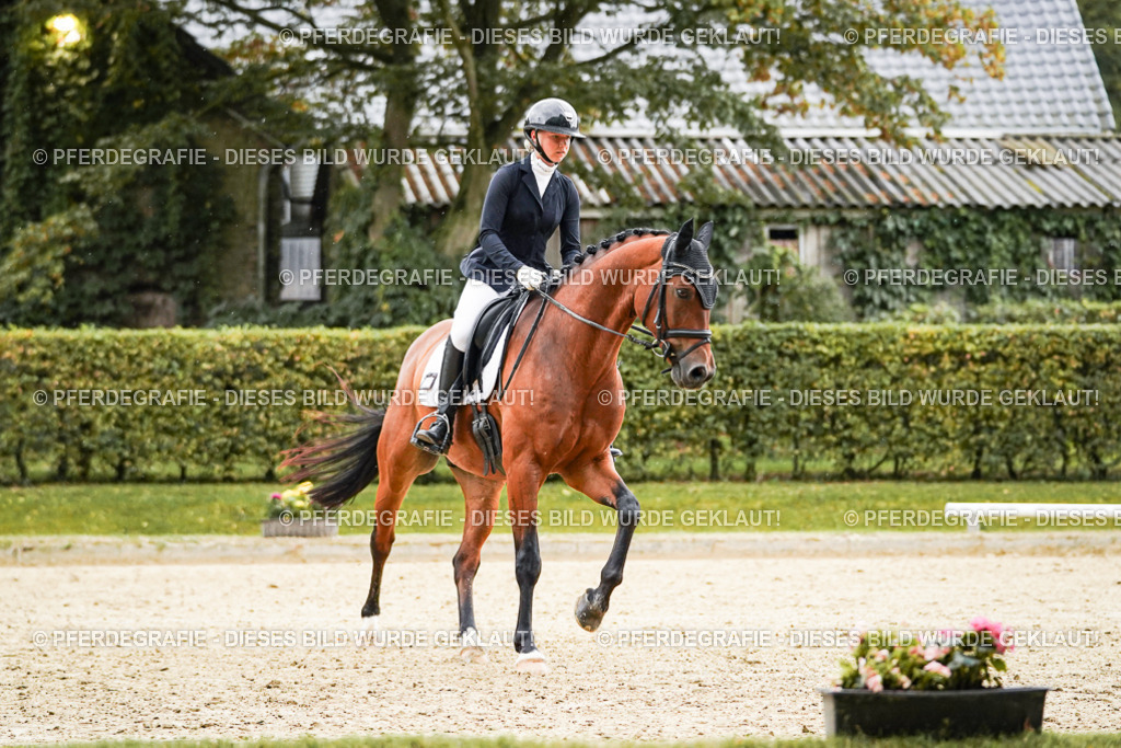 DSC07361 | Pferdegrafie