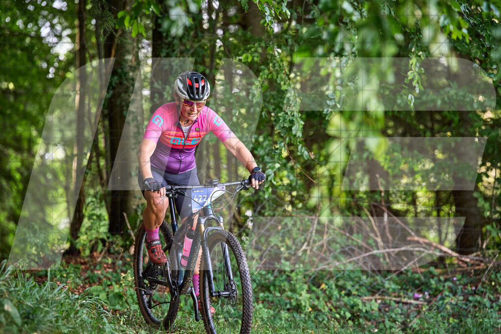 Betriebszentrum Laubenbachmühle, Frankenfels, Österreich - 13. September 2025: Dirndltal Race - Fun und Trophy RaceFotograf: Martin Bihounek / martinbihounek.com | 13. September 2025 Betriebszentrum Laubenbachmühle, Frankenfels, Österreich : Dirndltal Race - Fun und Trophy Race •••••Photo by: Martin Bihounek / martinbihounek.comInsta: @martinbihounekcom