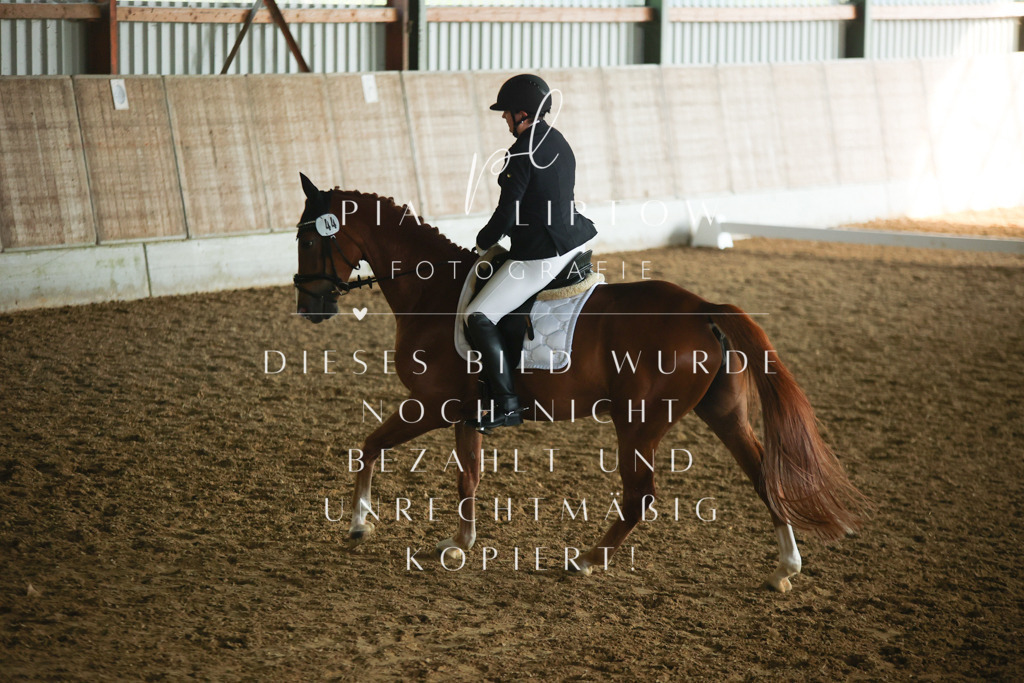 IMGM2435 | pl-fotografie