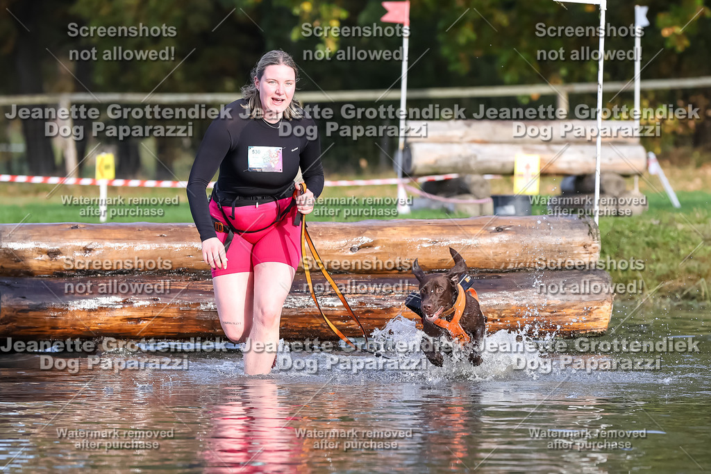 Dog Paparazzi - Strongdog 10-25-7051 | Dog Paparazzi Jeanette Grottendiek Fotografie & Videografie - Realisiert mit Pictrs.com