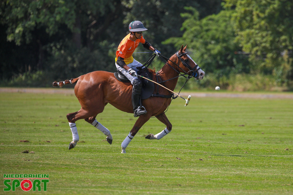 Polo_Willich_070623_061 | Bildergalerie von Sport-Ereignissen aber auch von weiteren spannenden Dingen - nicht nur vom Niederrhein. In Anlehnung an den bekannten Spruch von Hanns Dieter Hüsch heißt das Motto: "Niederrhein ist überall".  - Realisiert mit Pictrs.com
