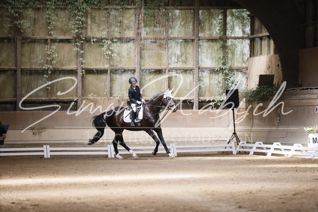 _3LI9519 | Tierfotografie Pferde, Hunde, Katzen, Haustiere.
Turnierfotografie Reitturniere, Reiten, Springreiten, Dressur in Hanau, dem Main-Kinzig-Kreis und dem Rhein-Main- Gebiet um Frankfurt