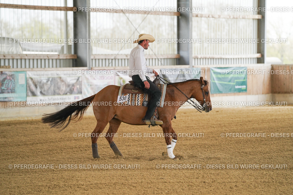 DSC06794 | Pferdegrafie