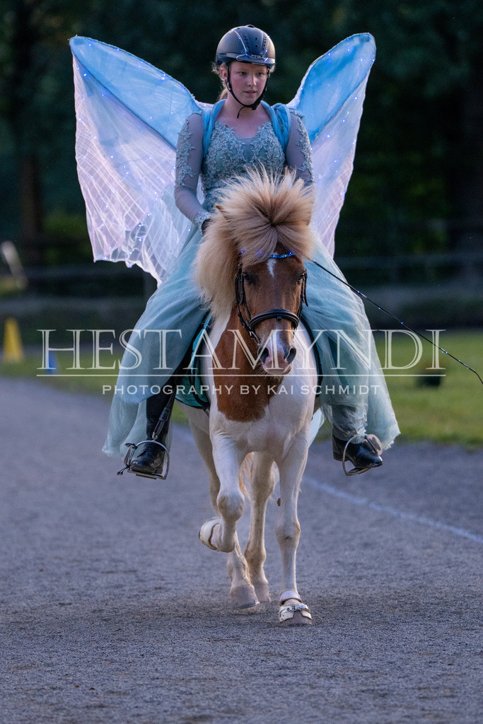 KAI07448 | Ihr sucht einen Fotografen für eure nächste OSI? Ich begleite auch euer Turnier für Islandpferde fotografisch.  - Realisiert mit Pictrs.com