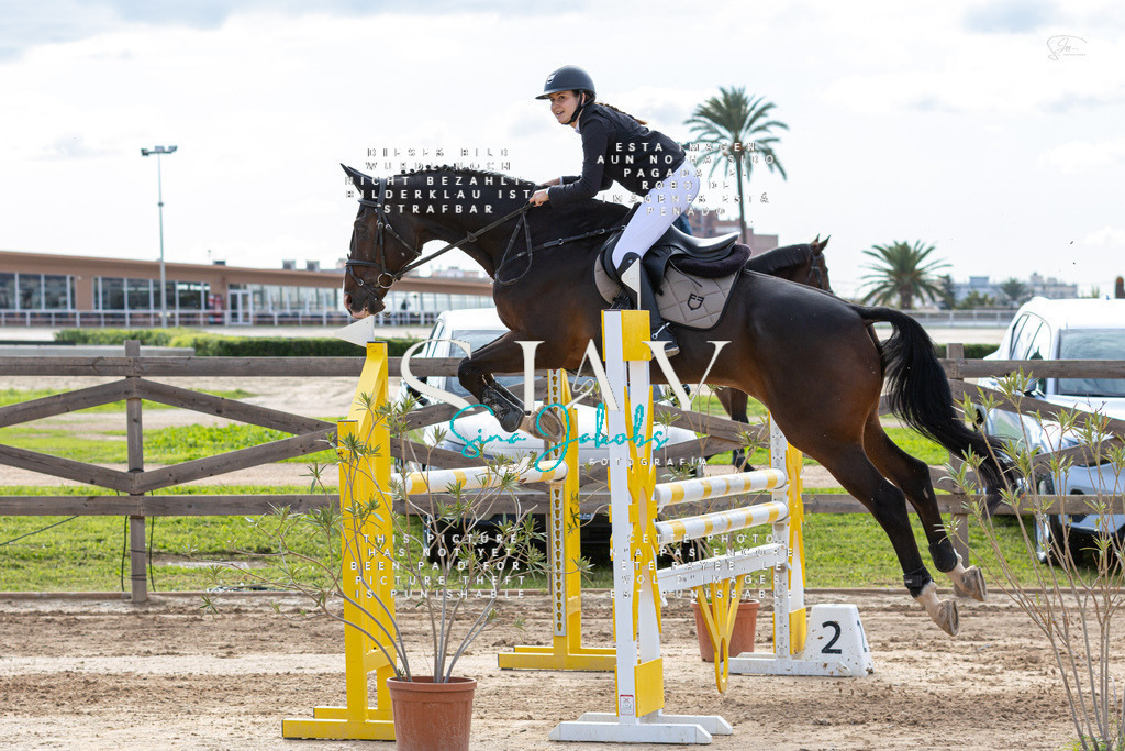 IMG_3276 | s-jay-photography - Realisiert mit Pictrs.com