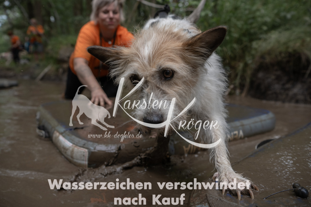 1343_ZZ95619 | kk-dogfotos