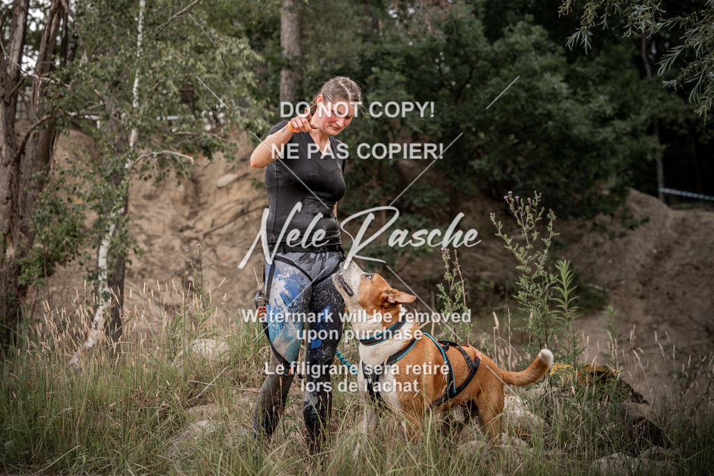 nelerasche_sa0800-1000_11 | nelerasche