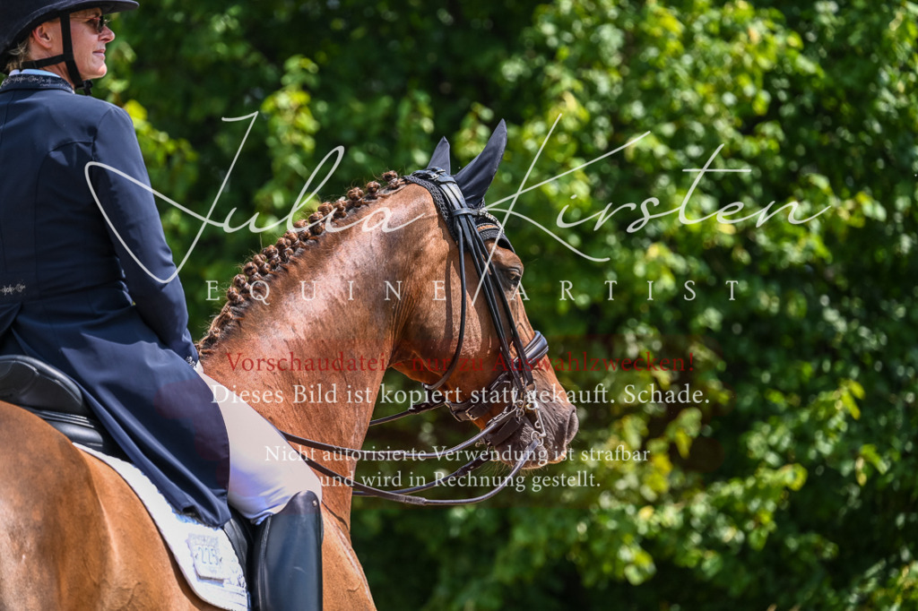 DSC_2719 | Pferde- und Turnierfotografie in Westsachsen. Pferdeportraits, Auftragszeichnungen und intuitive Kunst.