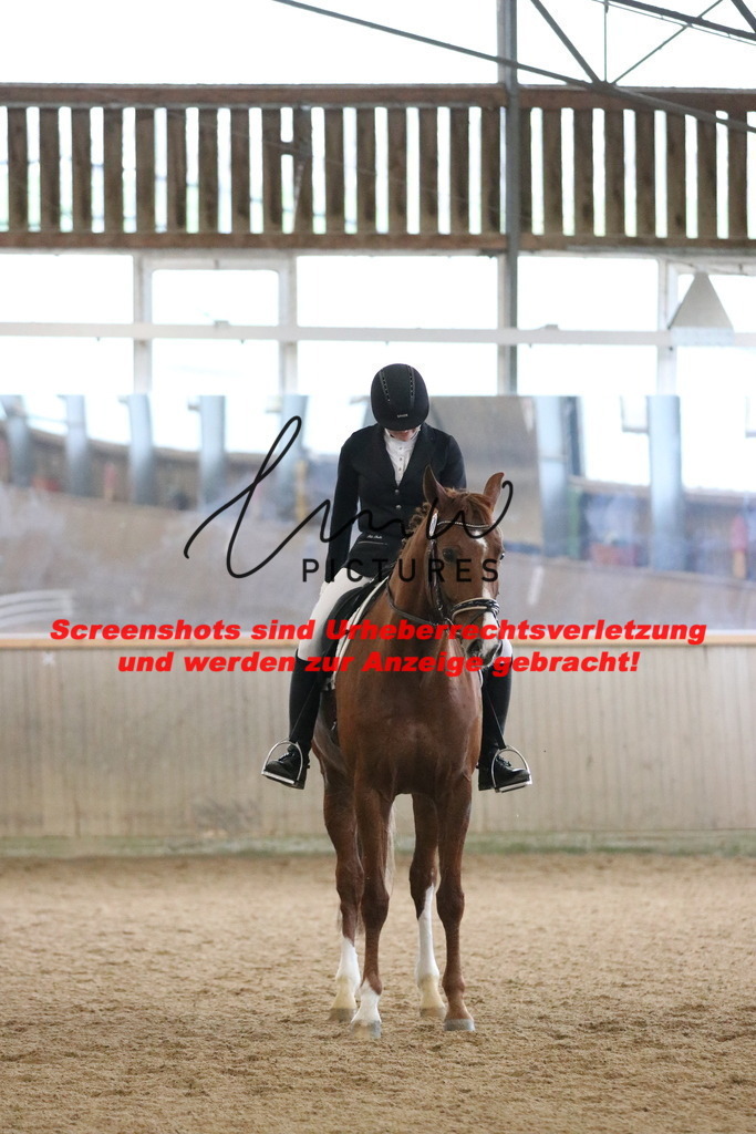 IMG_6461 | lmwpictures - Realisiert mit Pictrs.com