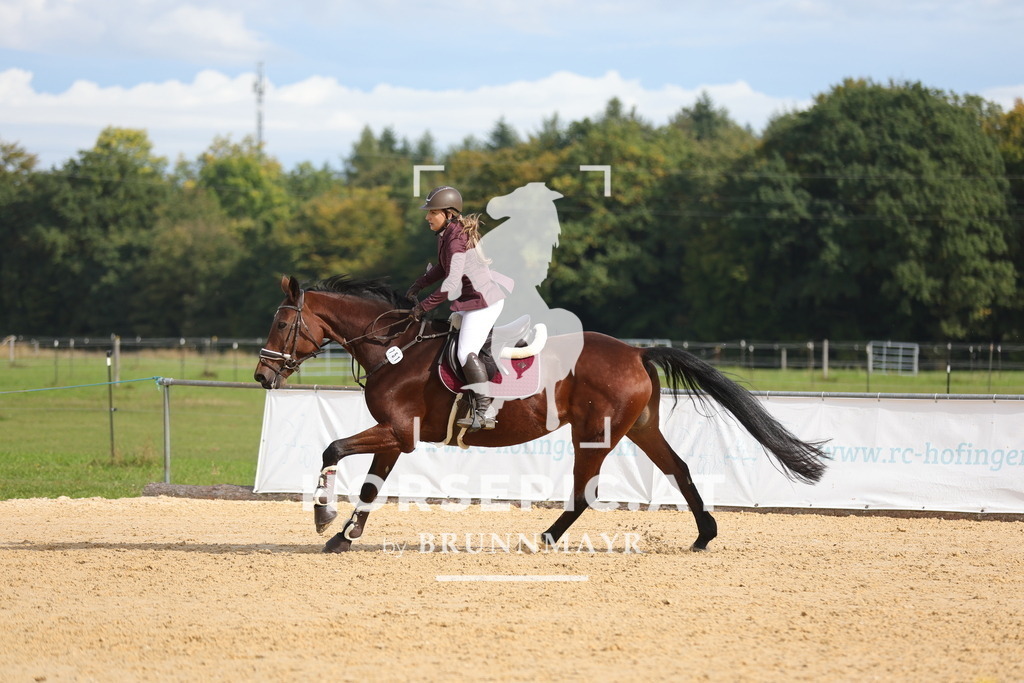 0P6A4775 | Willkommen bei Brunnmayr - Design & Fotografie – Ihrem Spezialisten für Reitturniere und Pferdeveranstaltungen in Oberösterreich, Salzburg und Bayern! Seit über 17 Jahren sind wir leidenschaftlich dabei.