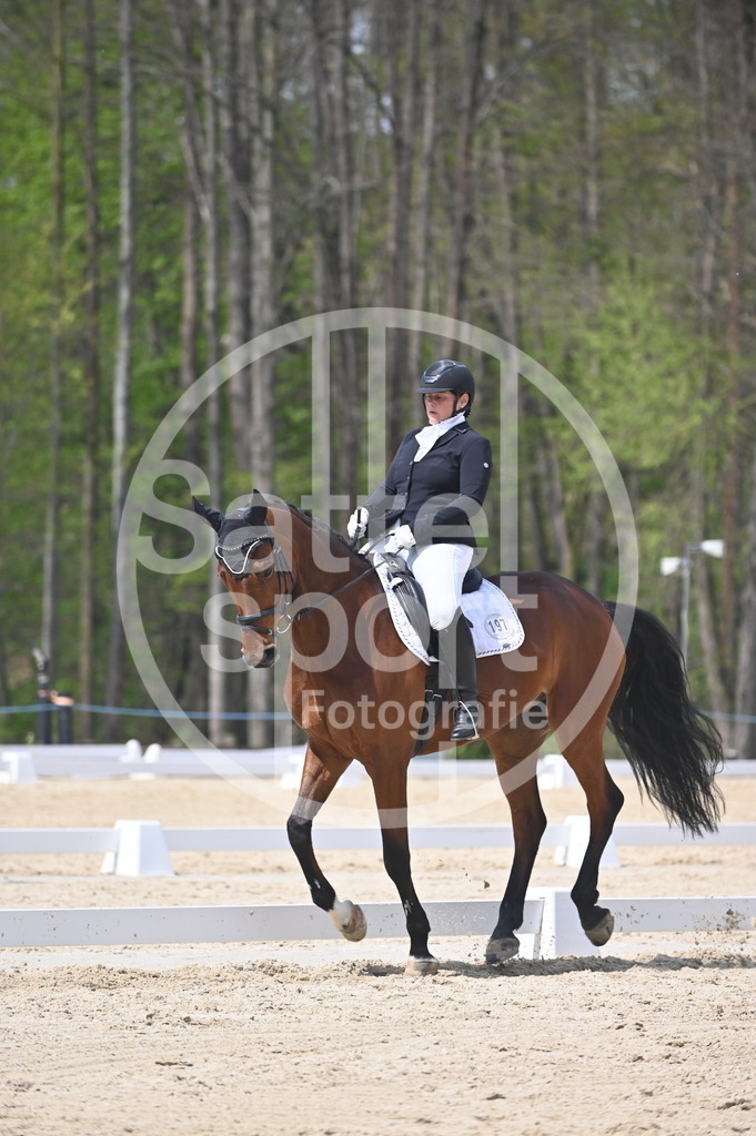 DSC_2121 | sattelsport - Realisiert mit Pictrs.com