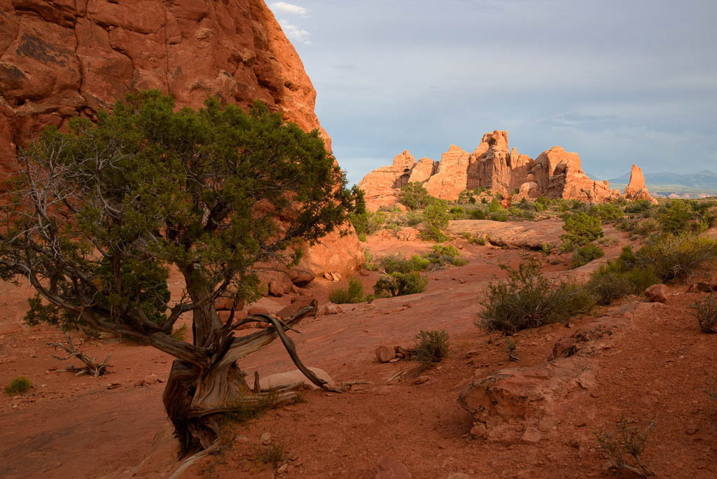 usa-2015-167 | Die Windows Section liegt im östlichen Teil des Arches National Park in den USA und besteht aus den Felsbögen North Window, South Window und Turret Arch. Hier: Blick von South Window Richtung Colorado River am Abend. - Realisiert mit Pictrs.com