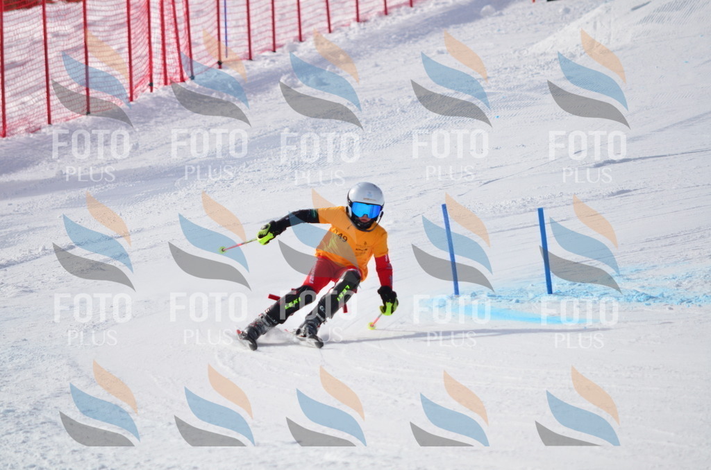 C7742 | holidayphoto