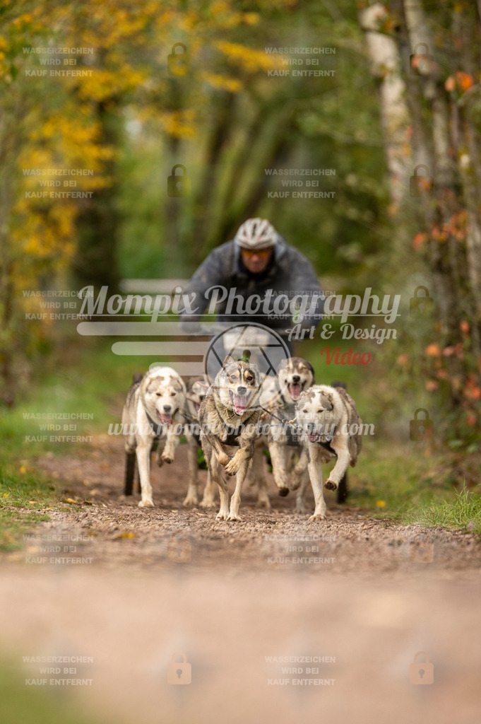 TSB_2023_E4_Kart-17 | mompixphotography