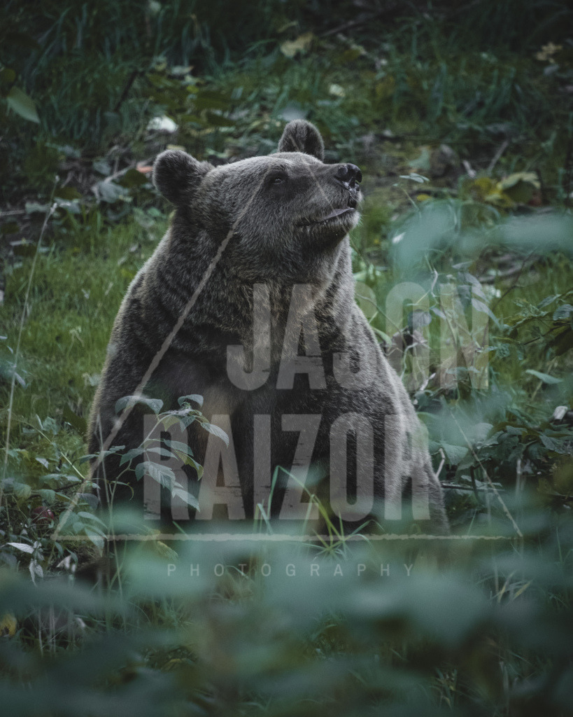 DSCF7385 | jasonraizor - Realisiert mit Pictrs.com