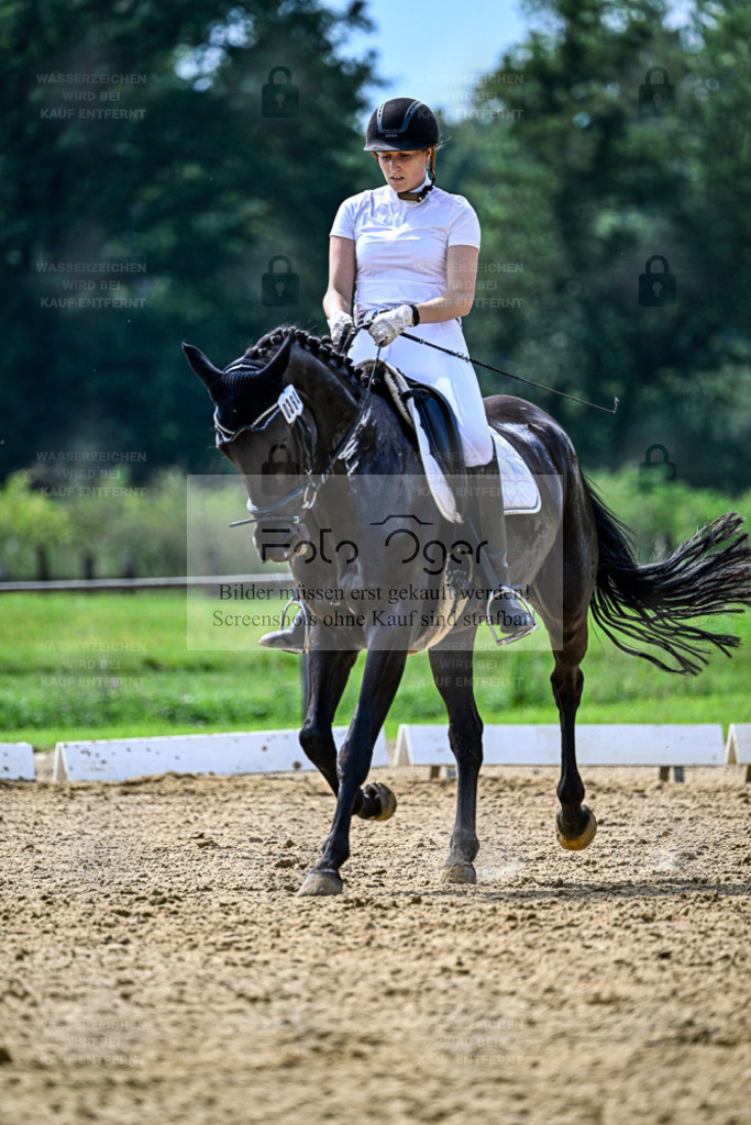 Reitturnier Hasbergen | Entdecke hochwertige Reitturnierfotos von Foto Oger. Professionell, emotional und authentisch – jetzt Lieblingsmomente im Shop bestellen. - Realisiert mit Pictrs.com