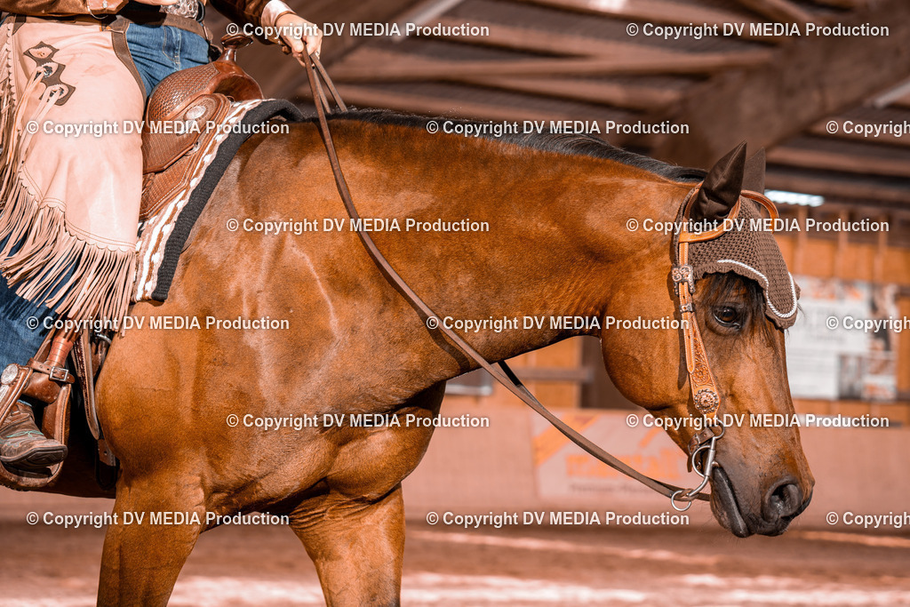 NE100754 | dv-media-shop - Realisiert mit Pictrs.com