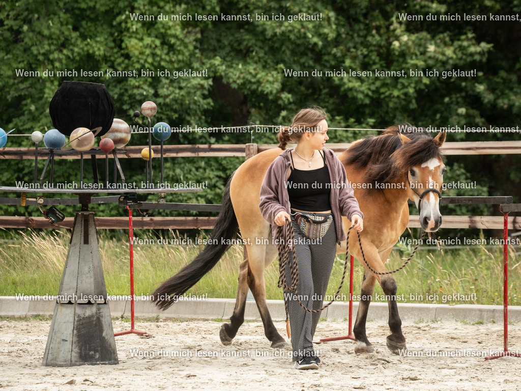 598A6569 | photographylinaismer - Realisiert mit Pictrs.com