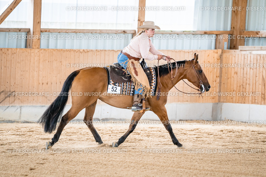 DSC08958 | Pferdegrafie