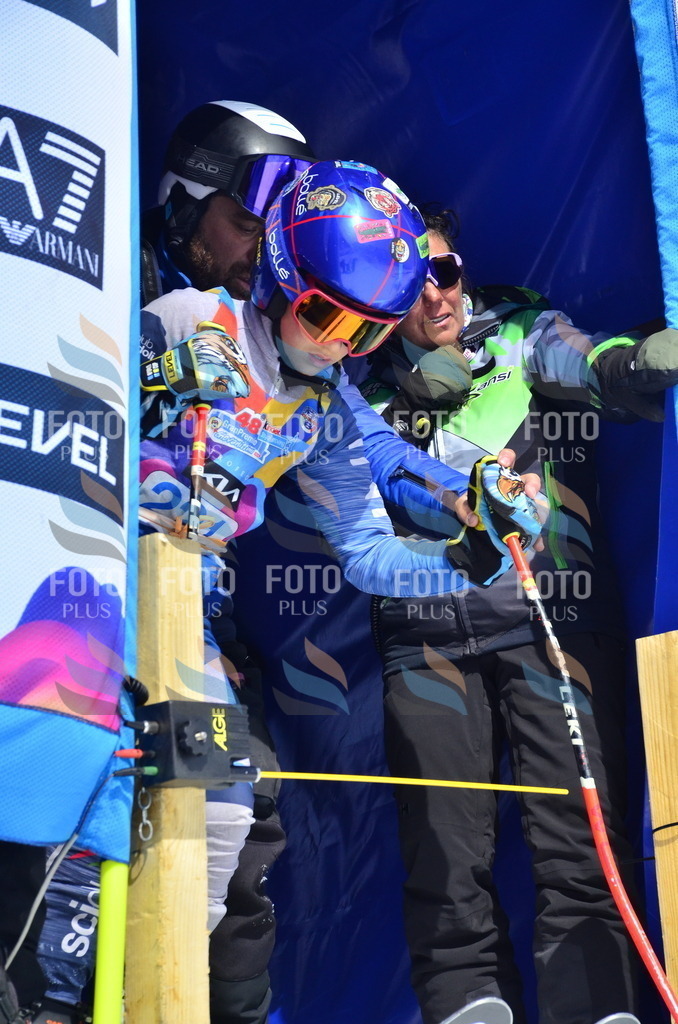 _ELE1550 | holidayphoto