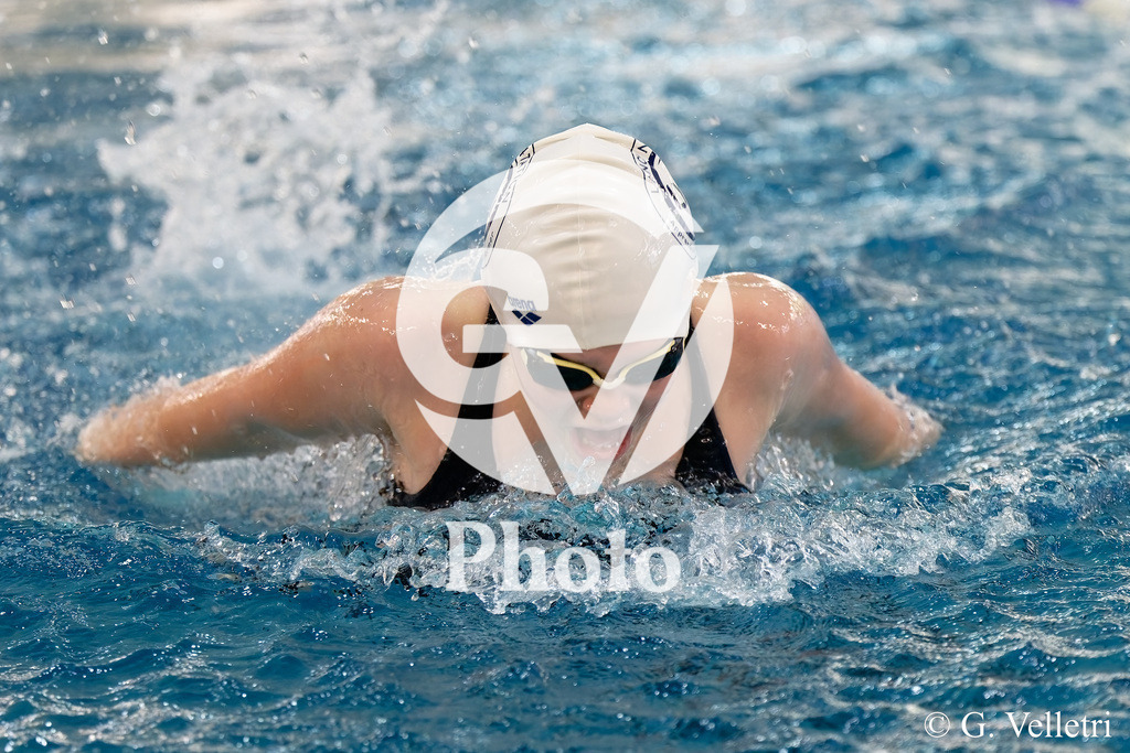 DSC_9562 | Velletri Photo