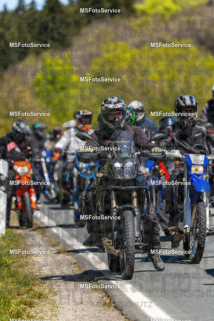 MSFotoServiceXXX185 | MSFotoService - Realisiert mit Pictrs.com