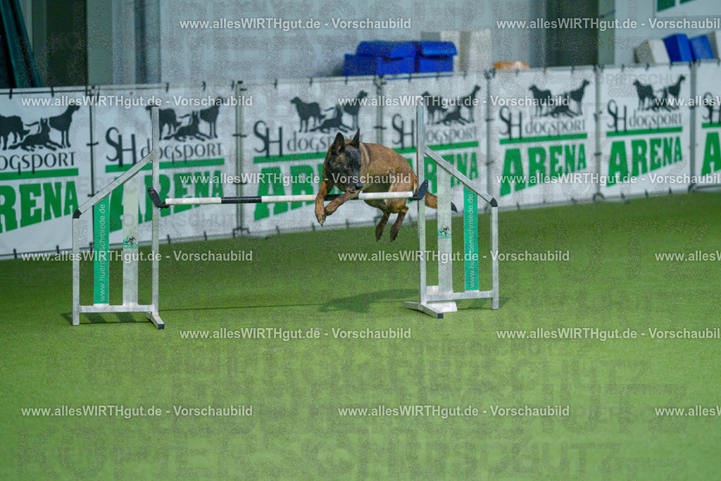 @allesWIRTHgut_Tierfotografie - www.allesWIRTHgut.de - 2604250947-7R508978 | Professionelle Tierfotografie in Mönchengladbach von Daniel Wirth (allesWIRTHgut). Liebevolle & natürliche Bilder von Hunden & Katzen für unvergessliche Erinnerungen.