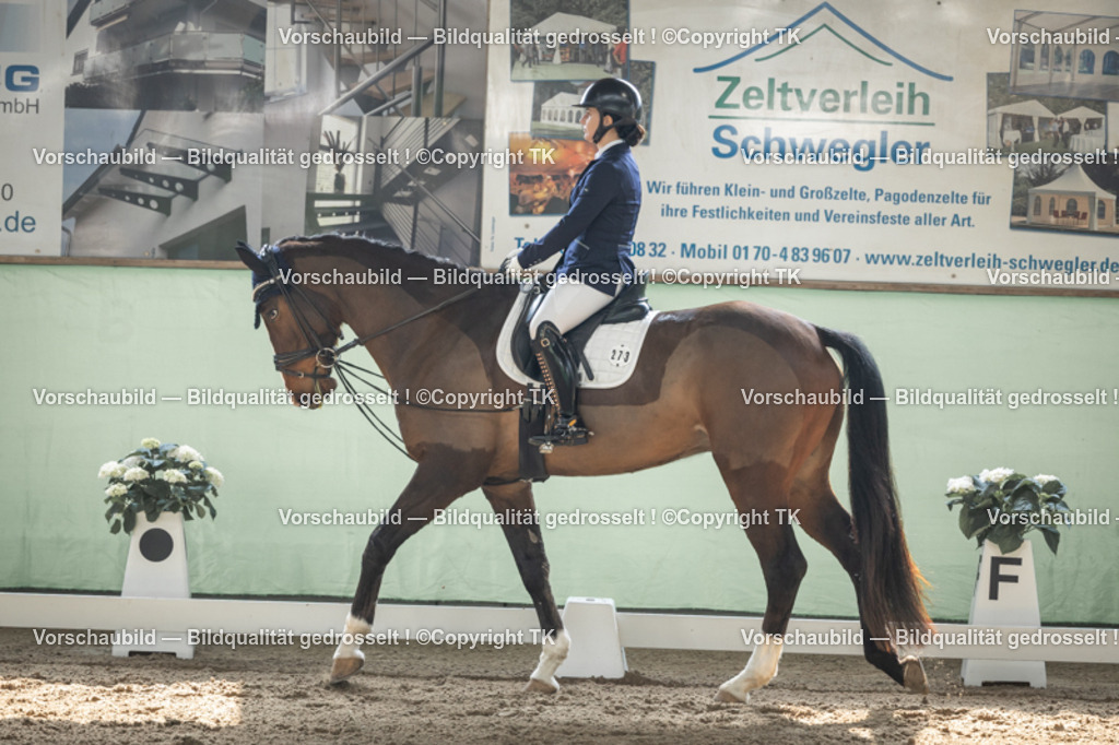 _D5A5438 | Emotionale Pferde- & People-Fotografie rund um Heidelberg, Leimen & Umgebung. Natürliche Fotos von Pferd, Mensch & Familie. Jetzt Termin sichern!