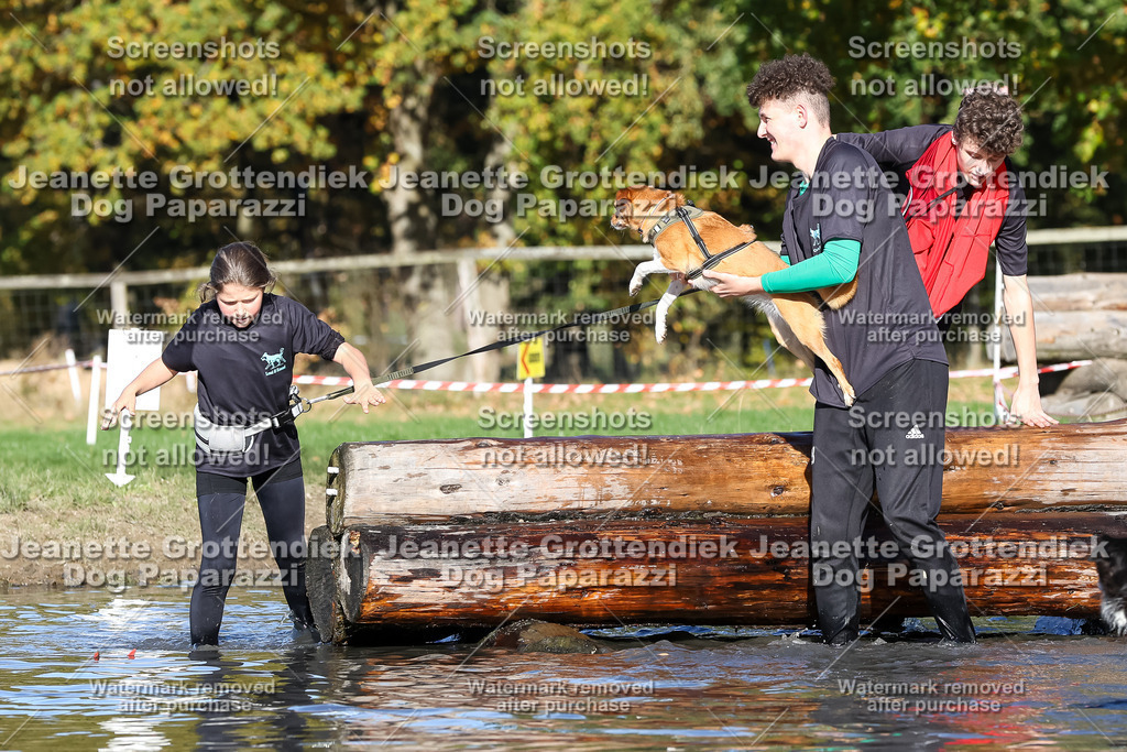 Dog Paparazzi - Strongdog 10-25-8954 | Dog Paparazzi Jeanette Grottendiek Fotografie & Videografie - Realisiert mit Pictrs.com