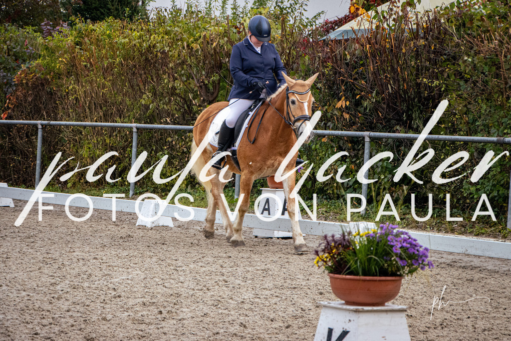 IMG_6844 | Erleben Sie dynamische Sport- und emotionale Tierfotografie in Süddeutschland mit Fotos von Paula. Spezialisiert auf Pferde- und Hundefotografie sowie Sportevents. Kontaktieren Sie mich für einzigartige und ausdrucksstarke Bilder Ihrer besonderen Momente. - Realisiert mit Pictrs.com