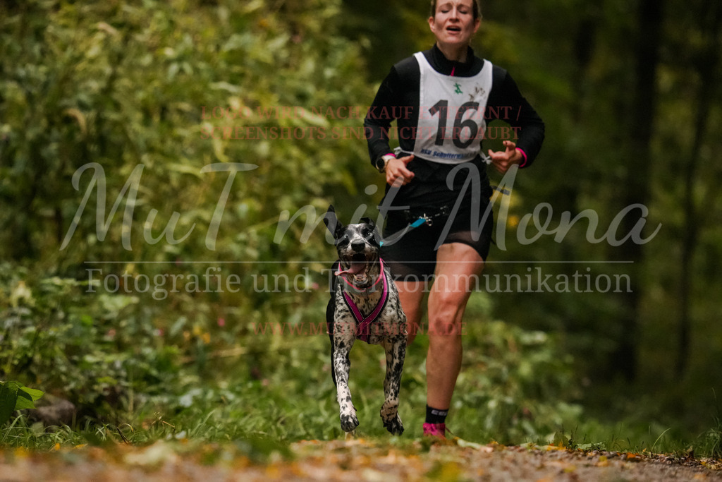 20251005_THS_Turnier-146 | MuT (Mensch und Tier) mit Mona - Fotografie und Tierkommunikation - Realisiert mit Pictrs.com