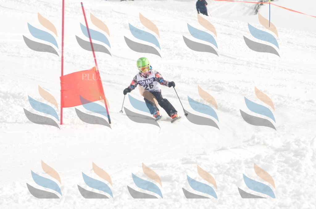 A5211 | holidayphoto