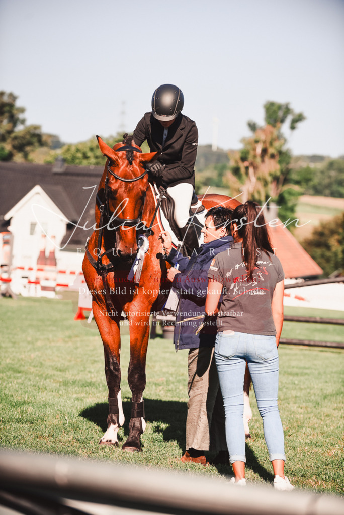 DSC_2300 | Pferde- und Turnierfotografie in Westsachsen. Pferdeportraits, Auftragszeichnungen und intuitive Kunst.