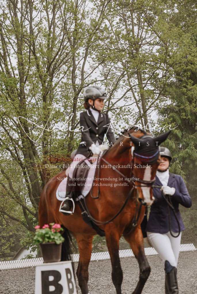 20230514_JK-Röhrsdorf-25-243 | Pferde- und Turnierfotografie in Westsachsen. Pferdeportraits, Auftragszeichnungen und intuitive Kunst.