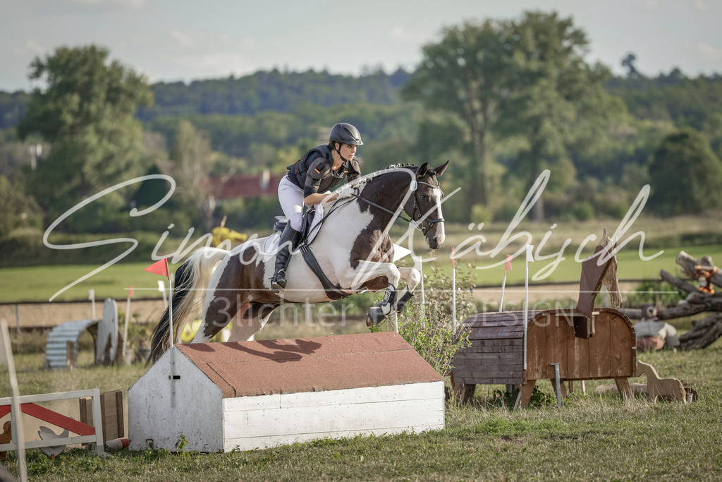 20250906-_3LI7604 | Tierfotografie Pferde, Hunde, Katzen, Haustiere.
Turnierfotografie Reitturniere, Reiten, Springreiten, Dressur in Hanau, dem Main-Kinzig-Kreis und dem Rhein-Main- Gebiet um Frankfurt