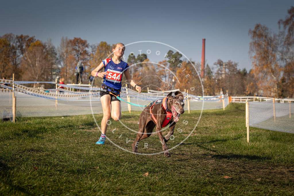 CaniXpix_0L8A9103 | Hundefotografie, Tierfotograf, Pfotenfotografie, Fotoshooting Hund, Hunde Portrait, Hundesport, Hundeportraits, Heideshooting, Hunde, Sportfotograf, Hundefotograf, Turnierhundsport, THS,  - Realisiert mit Pictrs.com