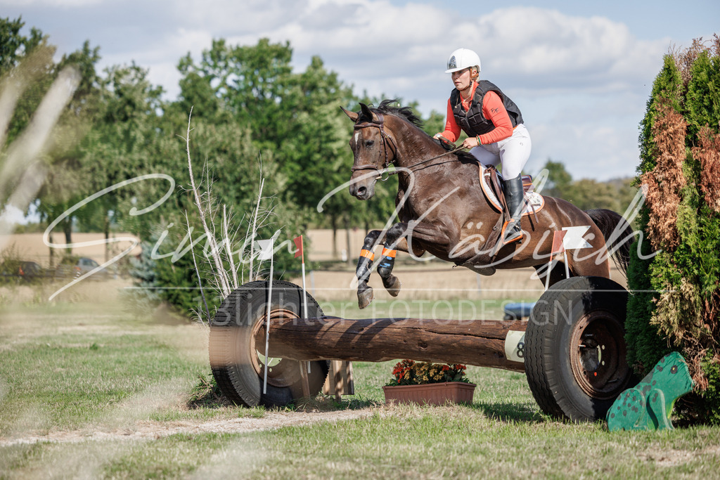 20260905-_3LI9732 | Tierfotografie Pferde, Hunde, Katzen, Haustiere.
Turnierfotografie Reitturniere, Reiten, Springreiten, Dressur in Hanau, dem Main-Kinzig-Kreis und dem Rhein-Main- Gebiet um Frankfurt