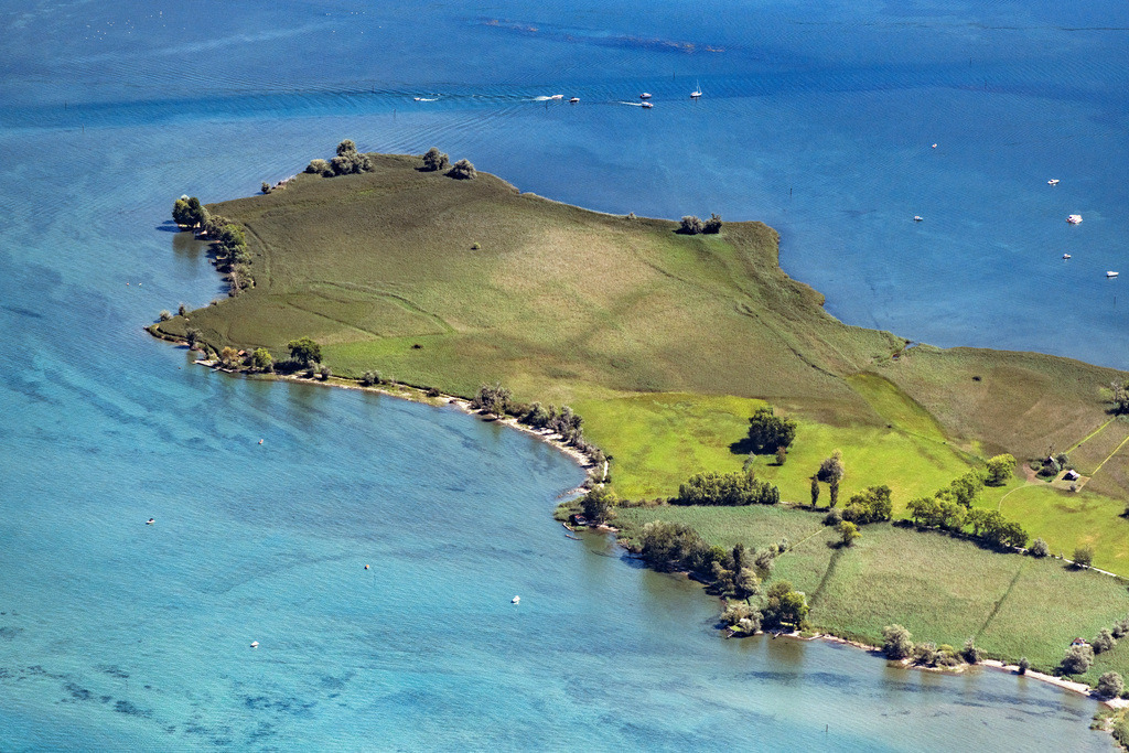 dr__0059161.jpg | FUßACH 20.08.2020 Grasflächen- Strukturen einer Wiesen- und Feld Landschaft in der Auen- Niederung im Naturschutzgebiet Rohrspitz am Bodensee in Fußach in Vorarlberg, Österreich. // Grassland structures of a meadow and field landscape in the lowland in Naturschutzgebiet Rohrspitz on Bodensee in Fussach in Vorarlberg, Austria. Foto: Daniel Reiter