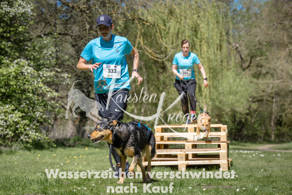 1255_ZZ95094 | kk-dogfotos