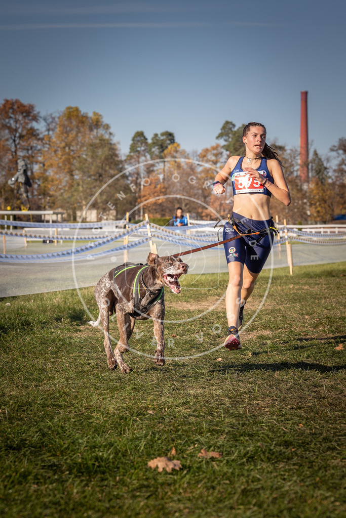 CaniXpix_0L8A8422 | Hundefotografie, Tierfotograf, Pfotenfotografie, Fotoshooting Hund, Hunde Portrait, Hundesport, Hundeportraits, Heideshooting, Hunde, Sportfotograf, Hundefotograf, Turnierhundsport, THS,  - Realisiert mit Pictrs.com